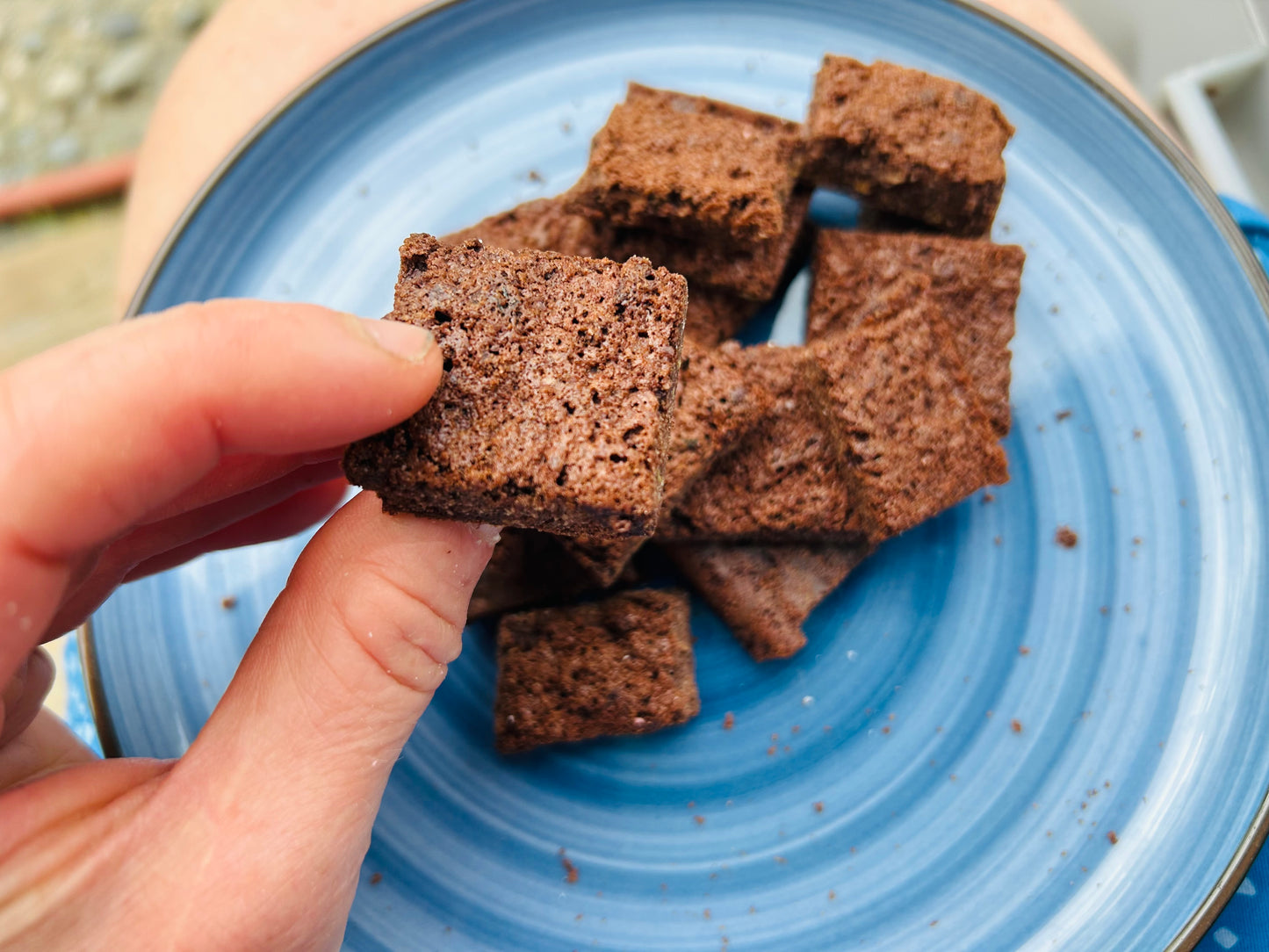 Freeze Dried Bars & brownies
