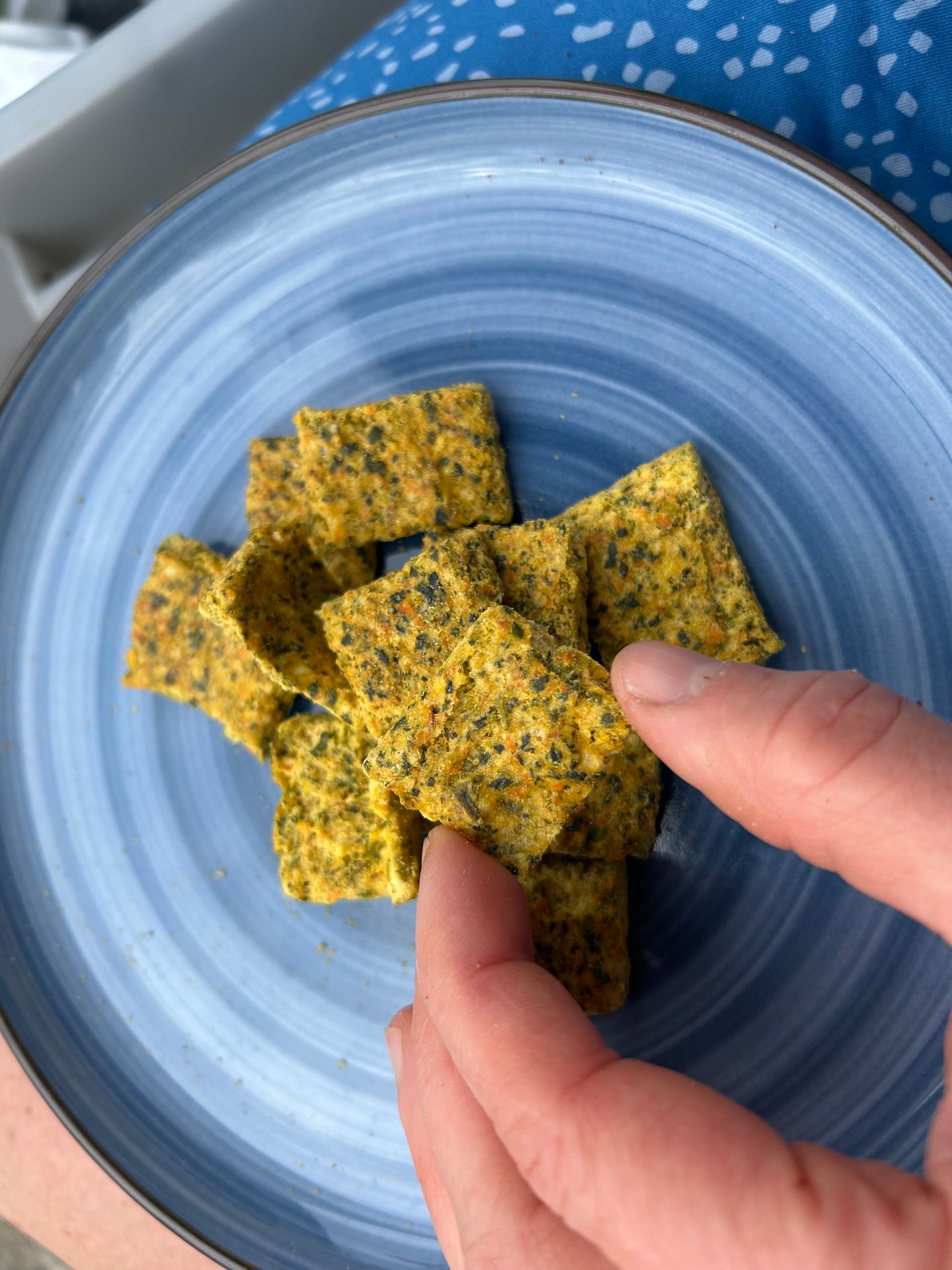 Gourmet Crackers - Freeze Dried