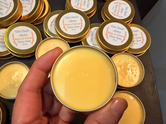 Cottonwood Tallow-Salve