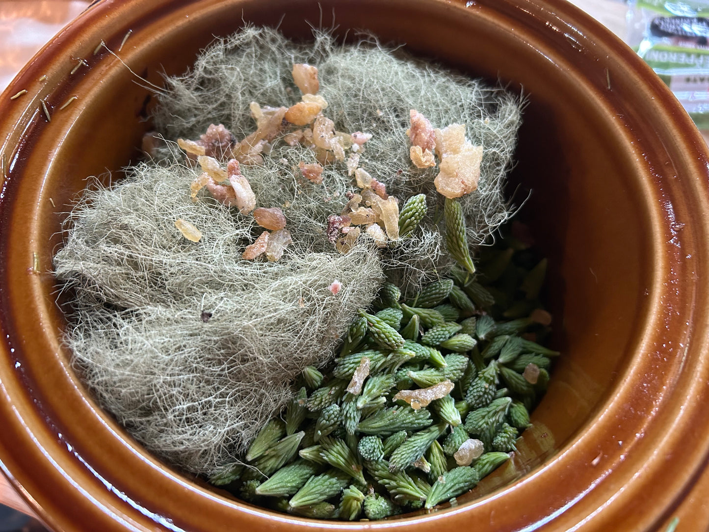 Spruce tip and Usnea Salve